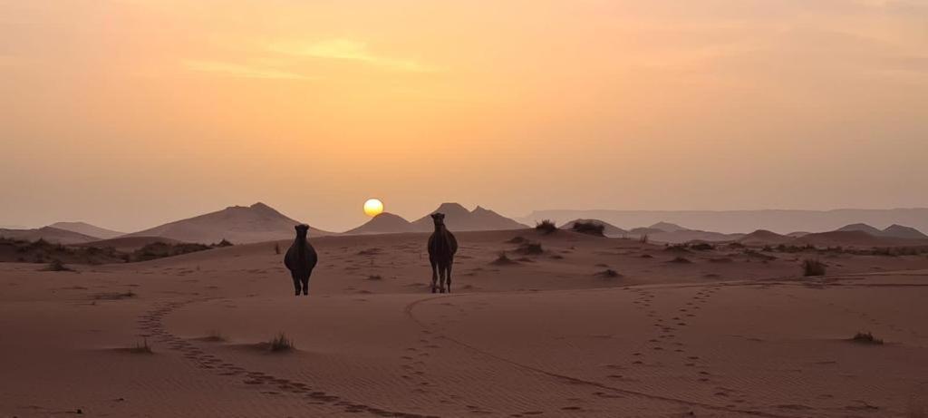 Riad Belvedere Ouzina ภายนอก รูปภาพ